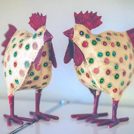 Seestern Seestern B * סנט פטר-אורדינג